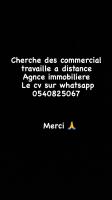 commercial-marketing-a-distance-dely-brahim-alger-algerie