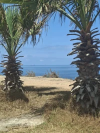 Vente Appartement F3 Alger Ain taya