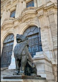 تجاري-و-تسويق-en-cherche-des-vendeur-et-vendeuse-وهران-الجزائر