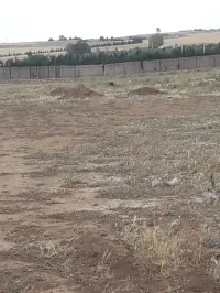 Vente Terrain Sidi bel abbes Amarnas