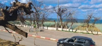Vente Terrain Tipaza Bou haroun