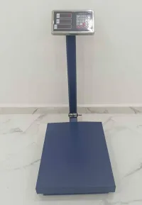البيض 