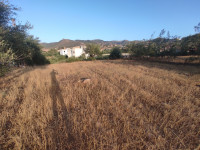 terrain-vente-bejaia-boudjellil-algerie