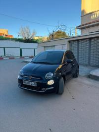 سيارات-fiat-500-2024-club-سطيف-الجزائر