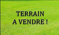 terrain-vente-mascara-sig-algerie