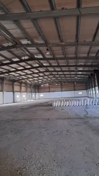 Location Hangar Oran Oued tlelat