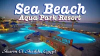 CAIRE  /  SHARM EL SHEIKH  AOUT  2023. PRIX CHOC  