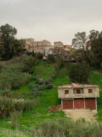 terrain-vente-alger-douera-algerie