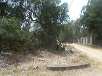 terrain-vente-el-tarf-kala-algerie