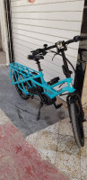 velos-velo-electrique-tern-cargo-khenchela-algerie