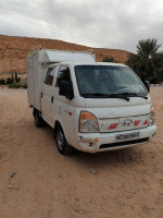 camion-h100-hyundai-2009-ghardaia-algerie