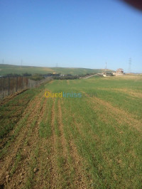 terrain-agricole-vente-bouira-algerie