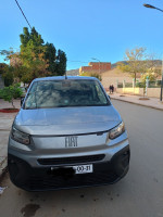 utilitaire-fiat-professional-doblo-2024-ain-defla-algerie