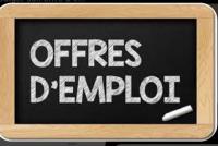 immobilier-offre-d-emploi-gerant-dune-agence-immobiliere-el-eulma-setif-algerie