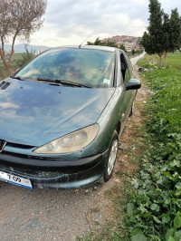 voitures-peugeot-206-2007-mouzaia-blida-algerie