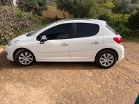 voitures-peugeot-207-plus-2013-skikda-algerie