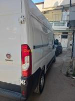 fourgon-ducato-fiat-2023-bouzareah-alger-algerie