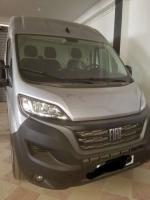 automobiles-fiat-professional-ducato-2023-chlef-algerie