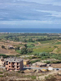 terrain-agricole-vente-boumerdes-zemmouri-algerie