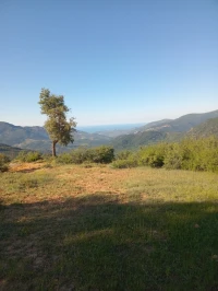 Vente Terrain Tizi Ouzou Yakouren
