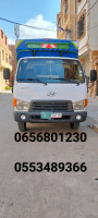 camion-hyundai-hd-65-2009-batna-algerie