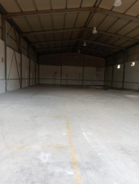 hangar-location-alger-tessala-el-merdja-algerie