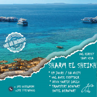 voyage-organise-sharm-el-sheikh-ete-2023-dely-brahim-kolea-alger-tipaza-algerie