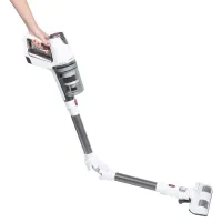 Aspirateur balai flex PROFICARE 