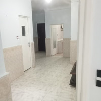 appartement-vente-f4-tipaza-kolea-algerie