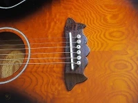 guitare washburn wshaGPAKQTTB