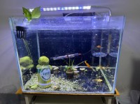 aquarium