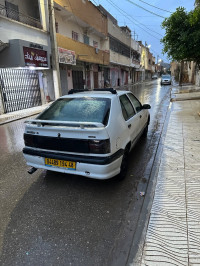 voitures-renault-19-1994-alize-ammi-moussa-relizane-algerie