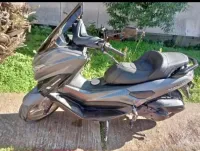 Okinoi Max ts 200 2024