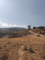 terrain-cherche-achat-blida-bougara-algerie