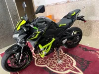 Kawasaki Z900 cart gris safia 2024