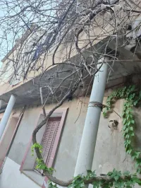 Vente Villa Alger Gue de constantine