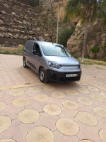 automobiles-fiat-professional-doblo-2023-commercial-ain-defla-algerie