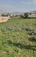 terrain-vente-boumerdes-el-kharrouba-algerie