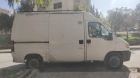 fourgon-boxor-peugeot-1999-berrouaghia-medea-algerie