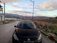 voitures-peugeot-307-2003-oued-athmania-mila-algerie