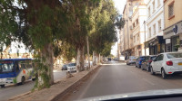 local-vente-mostaganem-algerie