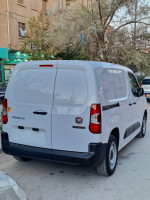 utilitaire-fiat-professional-doblo-2024-tole-djelfa-algerie