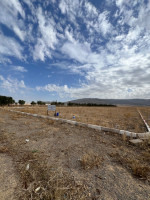 terrain-vente-batna-algerie