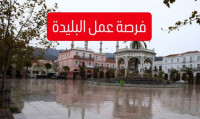 commercial-marketing-offers-demploi-beni-mered-blida-algerie