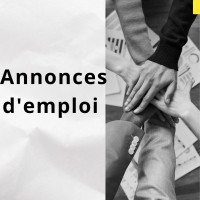 commercial-marketing-annonces-demploi-belouizdad-alger-algerie