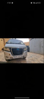 utilitaire-gonow-mini-truck-double-cabine-2013-blida-algerie