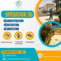 nettoyage-jardinage-operation-3d-deratisation-desinsectisation-depigeonnage-bir-mourad-rais-alger-algerie