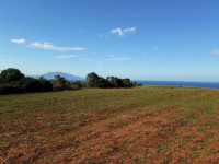 terrain-agricole-vente-tipaza-bou-haroun-algerie