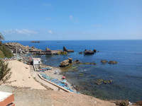 cherche-achat-alger-el-marsa-algerie