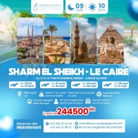 sharm el sheikh /le caire 2025